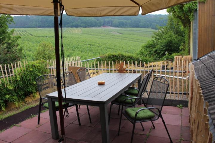 Apartamento Foersters Weinterrassen Bad Neuenahr-Ahrweiler Exterior foto